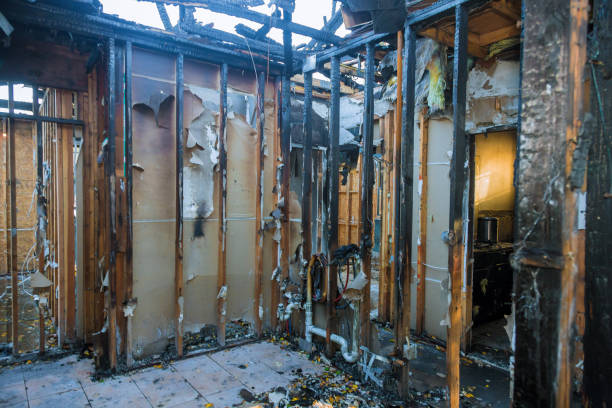 Professional Fire Damage Assessment technician working in Saint Bonifacius, MN