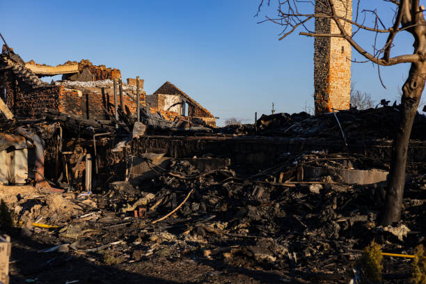 Reliable Fire Damage Assessment contractor in Saint Bonifacius, MN by Fire Damage Doption