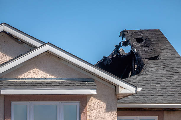 Top rated local Fire Damage Assessment specialists in Saint Bonifacius, MN